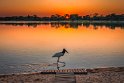 046 Noord Pantanal